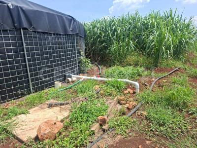 Cuauhtemoc, Colima 28523, México