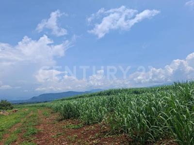 Cuauhtemoc, Colima 28523, México