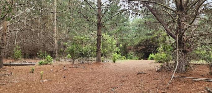 San Antonio, Valparaíso 00001, Chile