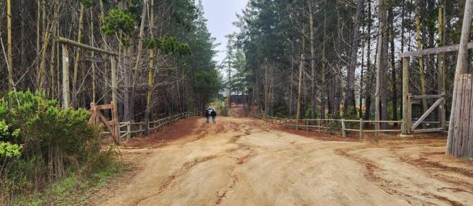 San Antonio, Valparaíso 00001, Chile