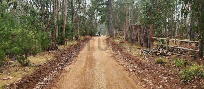 San Antonio, Valparaíso 00001, Chile
