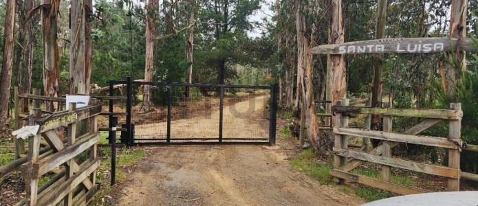 San Antonio, Valparaíso 00001, Chile