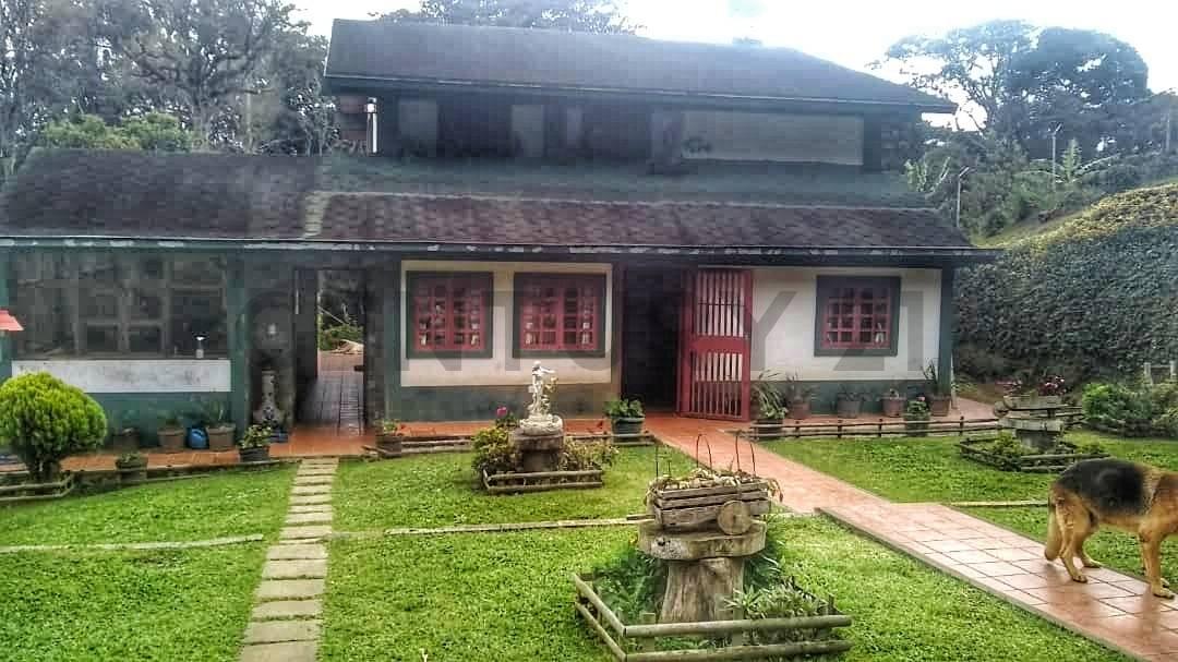 Urbanización Jengibrillar Nd, La Colonia Tovar, Aragua 00001, Venezuela