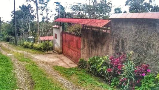 Urbanización Jengibrillar Nd, La Colonia Tovar, Aragua 00001, Venezuela