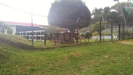 Urbanización Jengibrillar Nd, La Colonia Tovar, Aragua 00001, Venezuela