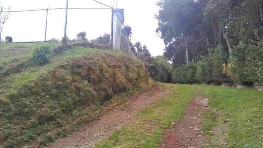 Urbanización Jengibrillar Nd, La Colonia Tovar, Aragua 00001, Venezuela