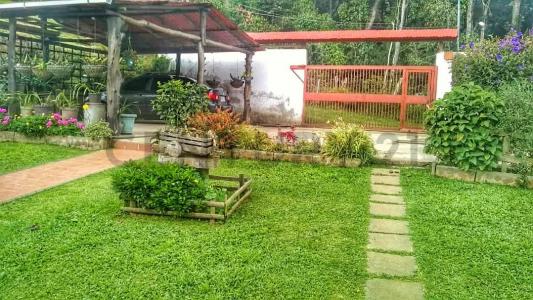 Urbanización Jengibrillar Nd, La Colonia Tovar, Aragua 00001, Venezuela