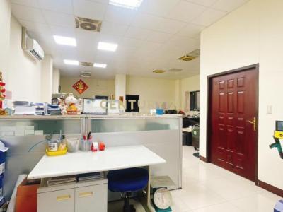 仁愛路一段, Linkou Dist., Tân Bắc 244, Đài Loan