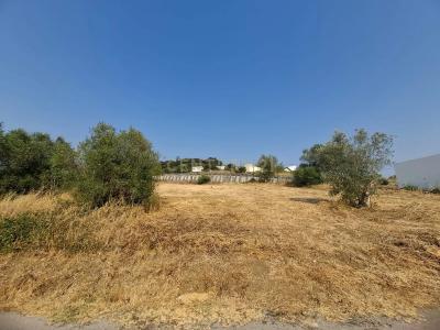 Mafra, Lisbon 2640-369, Portugal