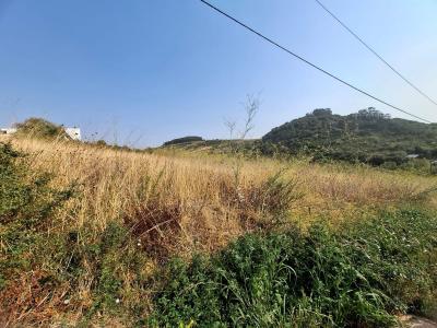 Mafra, リスボン 2640-369, ポルトガル