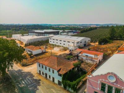 Bombarral, Leiria 2540-158, Portugal