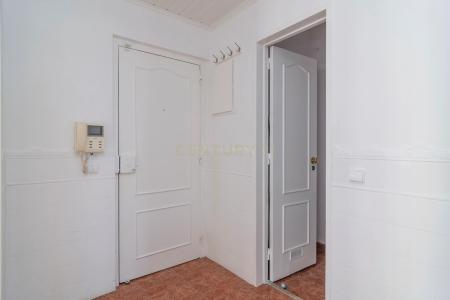 Odivelas, Lisboa 2675-284, Portugal