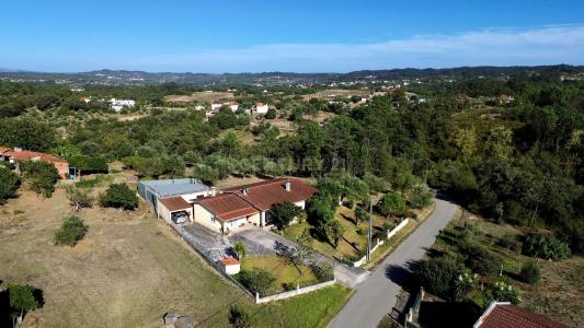 Pombal, Leiria 3100-652, Portogallo