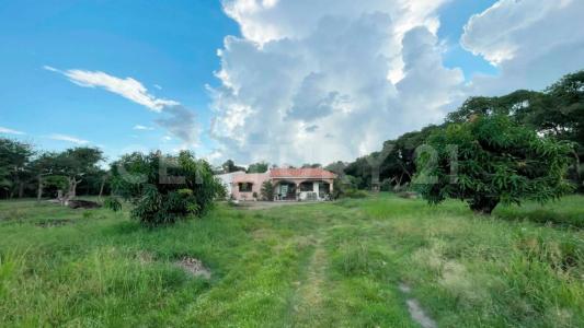 Carretera Valle - San Jose SN,, Bahía De Banderas, 나야리트 63737, 멕시코