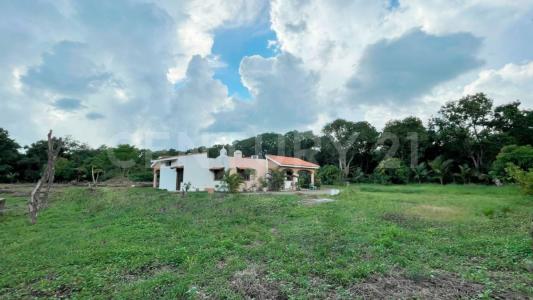 Carretera Valle - San Jose SN,, Bahía De Banderas, 나야리트 63737, 멕시코