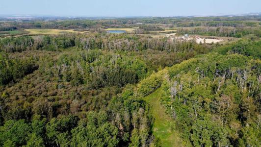 3021 TOWNSHIP ROAD 400, Rural Lacombe County, Alberta T0M 0X0, Kanada