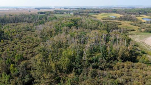 3021 TOWNSHIP ROAD 400, Rural Lacombe County, Alberta T0M 0X0, Kanada