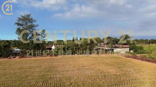 石牌嶺, 新屋區, 타오 위엔 327, 대만