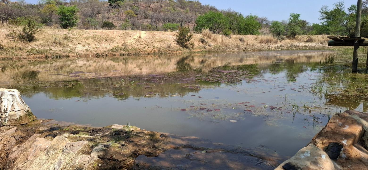Bela Bela, Limpopo, Nam Mỹ