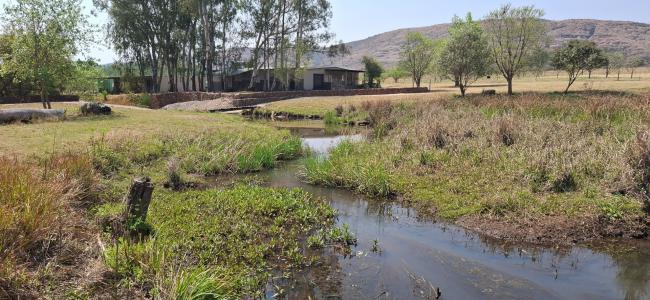 Bela Bela, Limpopo, Nam Mỹ