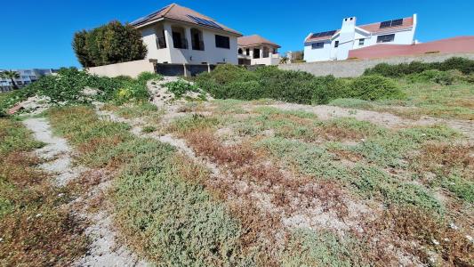 Velddrif, Western Cape, Afrique Du Sud