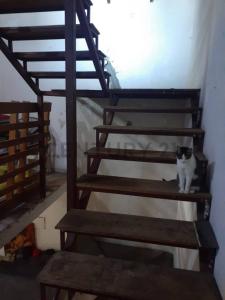 San Francisco entre San Antonio y San Cosme 1314, Barrio Jara, Asunción 00001, 巴拉圭