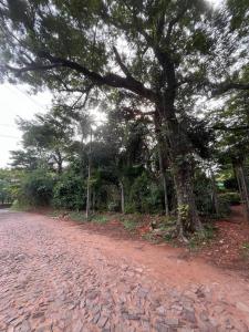 Villa Elisa, Centralne 111510, Paragwaj