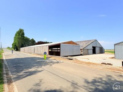 Chemin de Jamagne 1A, Hemptinne, Belgium