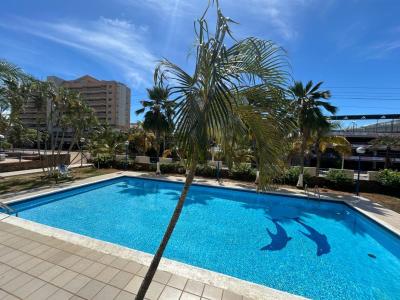 Av. Guamache Edificio Masion Caribe, Porlamar, Nueva Esparta 6301, Venezuela