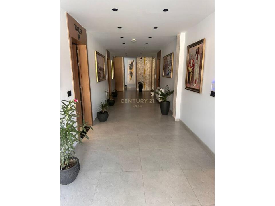 Zogu I Zi, Tirana, Albania