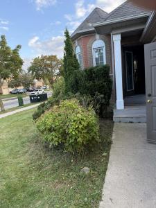 334 CLEARMEADOW BOULEVARD, Newmarket, Ontario L3X 2C6, Kanada