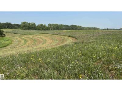 . ., Rural Two Hills County, Alberta T0B 4K0, Canada