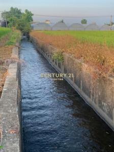 東隆段, 大溪區, Таоюань 335, Тайвань