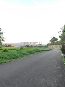 東隆段, 大溪區, Таоюань 335, Тайвань