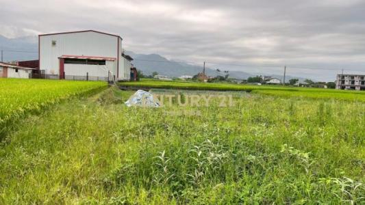 大排七路二段, Sanxing Township, Yilan 266, Taïwan