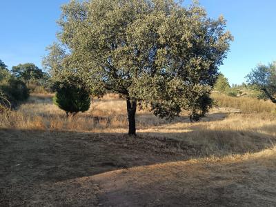 布朗库堡区, 布朗库堡区 6000-630, 葡萄牙