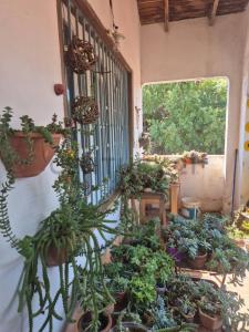 MARIA AUXILIADORA 151   BARCEQUILLO, San Lorenzo, 中央 00001, 巴拉圭