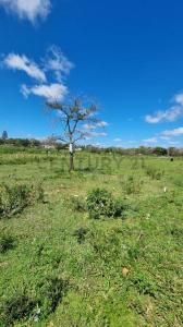 Itauguá, Central 00001, Paraguai