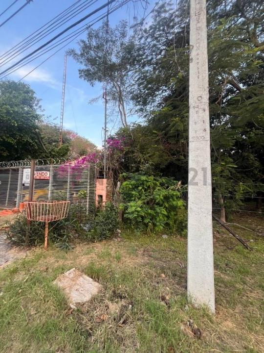 Tte- Jose Luis Duarte casi Consejal Vargas 2981, Herrera, Asunción 00001, Paraguay