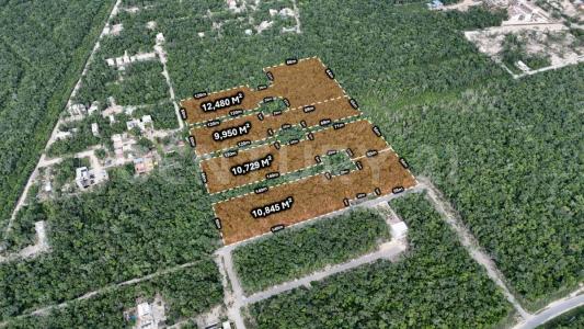 Tulum, Quintana Roo 77780, Mexico