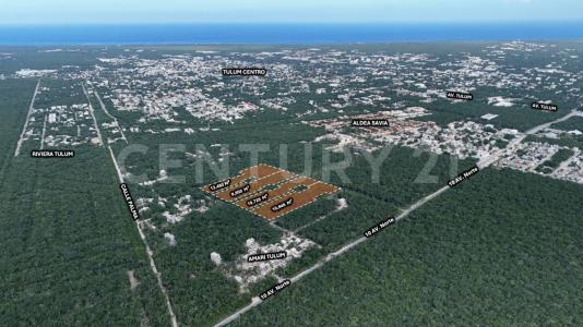 Tulum, Quintana Roo 77780, Mexico