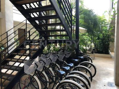 Solidaridad / Riviera Maya, Quintana Roo 77710, Mexico