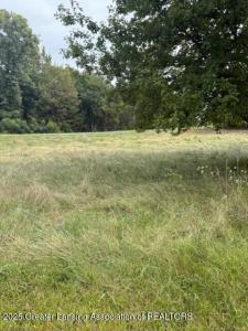 595 W Howell Road, Mason, Michigan 48854, Estados Unidos