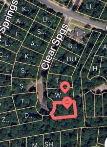 TBD N Clear Springs Road, Trinity, Texas 75862, USA