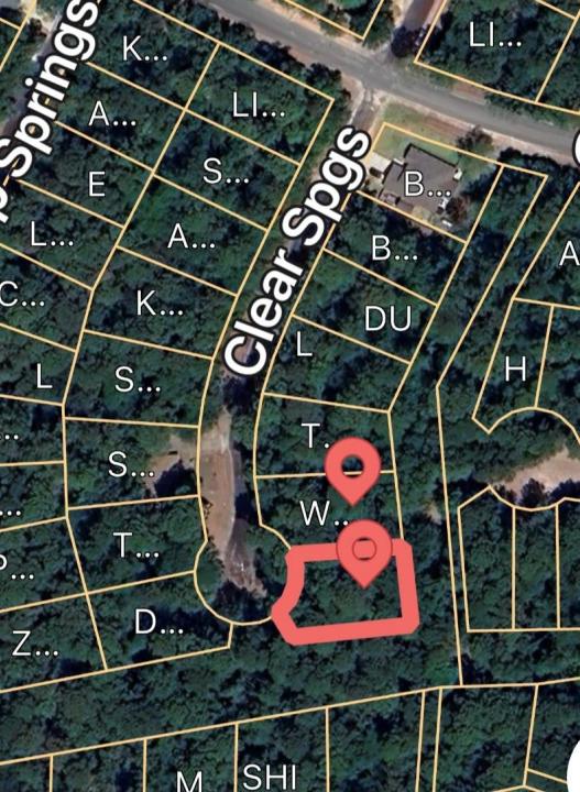 TBD N Clear Springs Road, Trinity, Texas 75862, Stati Uniti