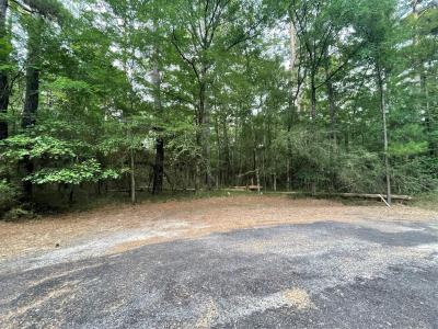 TBD N Clear Springs Road, Trinity, Texas 75862, Stati Uniti