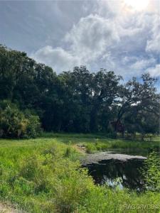 4780 S Silver Fox Terrace, Inverness, 佛罗里达州 34452, 美国