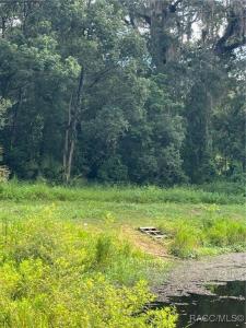 4780 S Silver Fox Terrace, Inverness, 佛罗里达州 34452, 美国