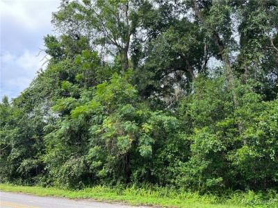 4780 S Silver Fox Terrace, Inverness, 佛罗里达州 34452, 美国