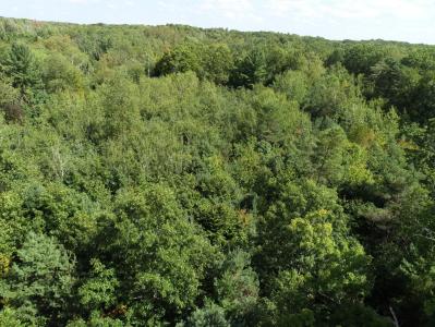 N. Hawkins Road, Luther, מישיגן 49656, ארצות הברית של אמריקה